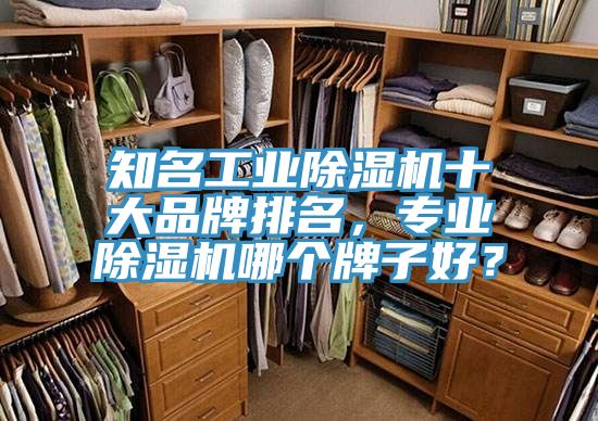 知名工業除濕機十大品牌排名，專業除濕機哪個牌子好？