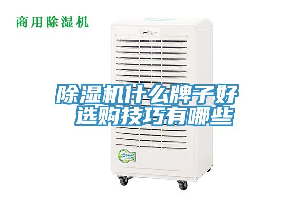 除濕機什么牌子好 選購技巧有哪些