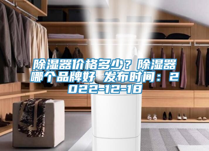 除濕器價格多少？除濕器哪個品牌好 發布時間：2022-12-18