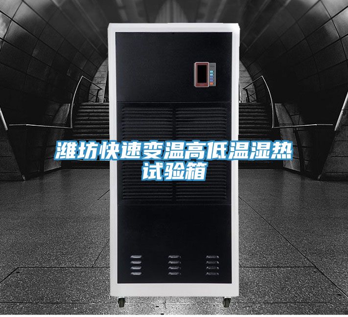 濰坊快速變溫高低溫濕熱試驗箱