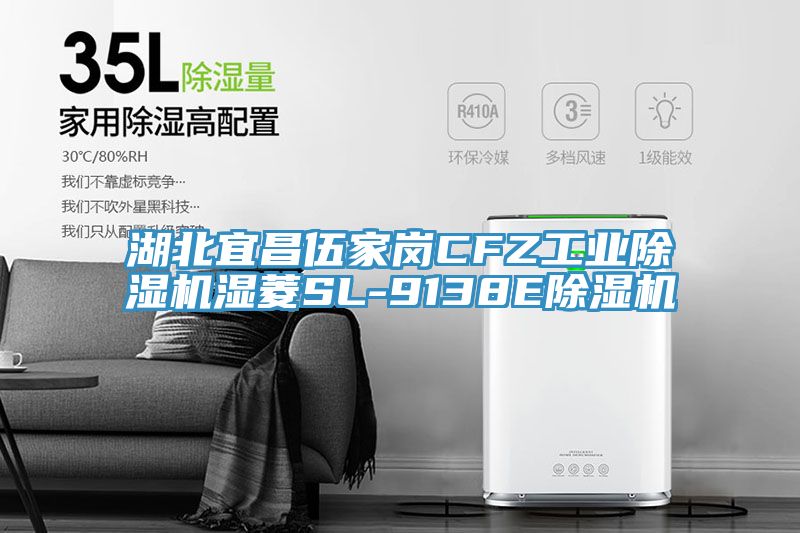 湖北宜昌伍家崗CFZ工業除濕機濕菱SL-9138E除濕機
