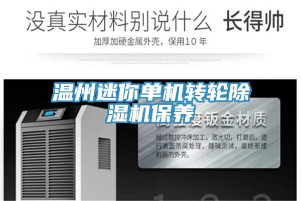 溫州迷你單機轉輪除濕機保養