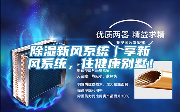 除濕新風系統|享新風系統,住健康別墅!