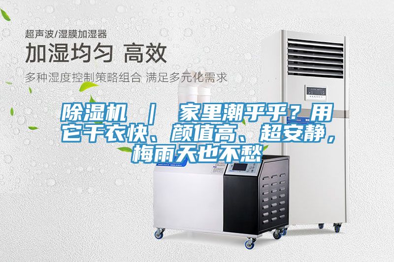 除濕機(jī) ｜ 家里潮乎乎？用它干衣快、顏值高、超安靜，梅雨天也不愁