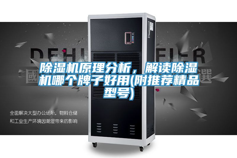 除濕機(jī)原理分析，解讀除濕機(jī)哪個(gè)牌子好用(附推薦精品型號(hào))