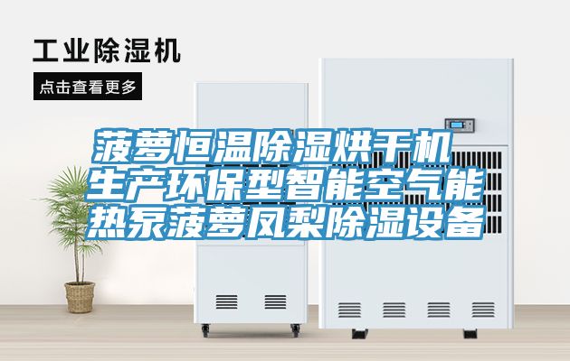 菠蘿恒溫除濕烘干機 生產環保型智能空氣能熱泵菠蘿鳳梨除濕設備