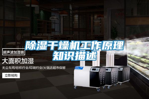 除濕干燥機工作原理知識描述