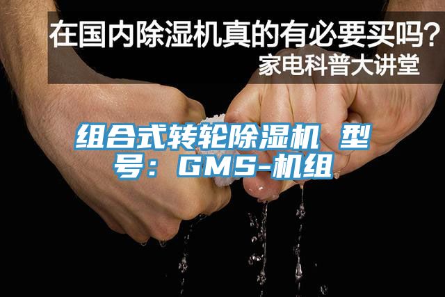 組合式轉輪除濕機 型號：GMS-機組