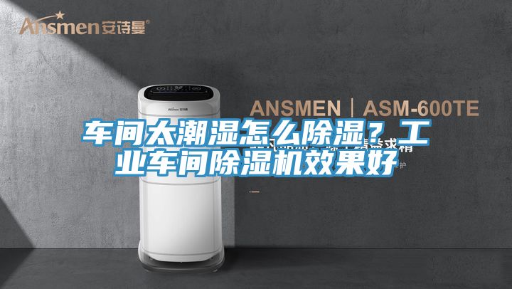車間太潮濕怎么除濕？工業(yè)車間除濕機(jī)效果好