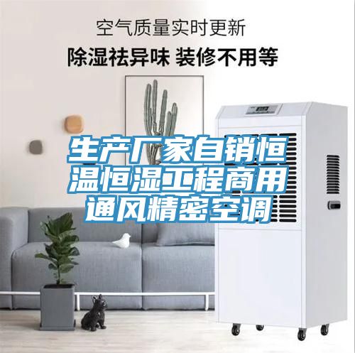 生產廠家自銷恒溫恒濕工程商用通風精密空調