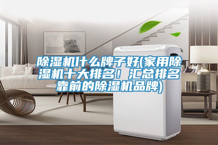 除濕機什么牌子好(家用除濕機十大排名！匯總排名靠前的除濕機品牌)
