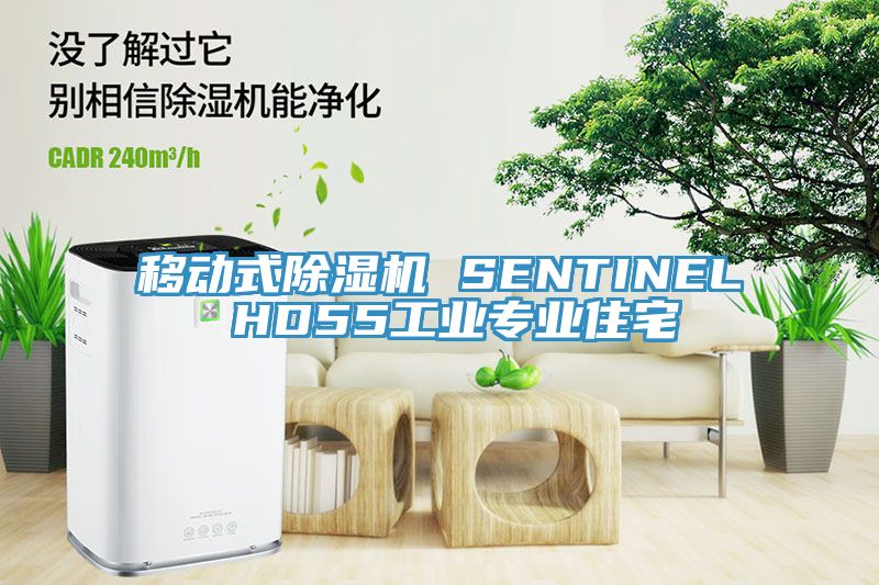 移動(dòng)式除濕機(jī) SENTINEL HD55工業(yè)專業(yè)住宅