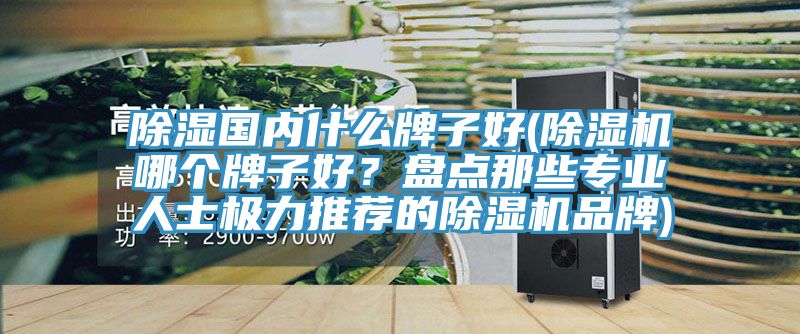 除濕國內什么牌子好(除濕機哪個牌子好?盤點那些專業人士極力推薦的除濕機品牌)