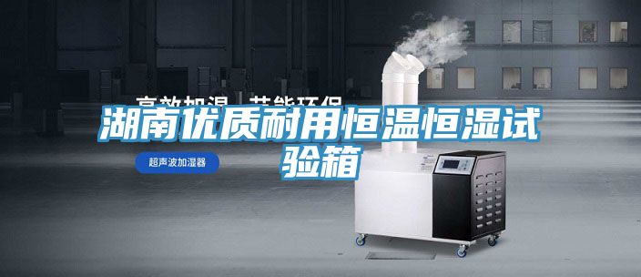 湖南優質耐用恒溫恒濕試驗箱