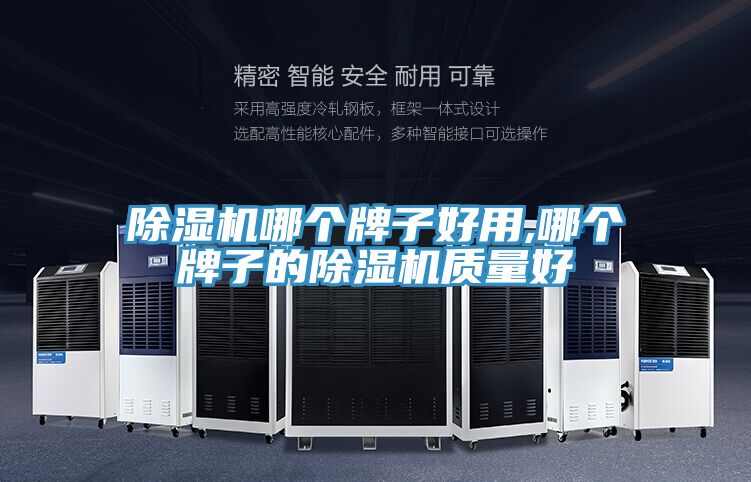 除濕機哪個牌子好用,哪個牌子的除濕機質(zhì)量好