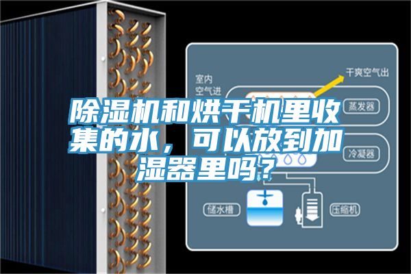除濕機和烘干機里收集的水,可以放到加濕器里嗎?