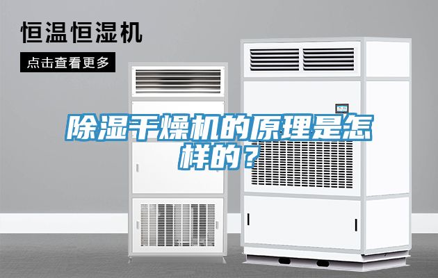 除濕干燥機的原理是怎樣的?