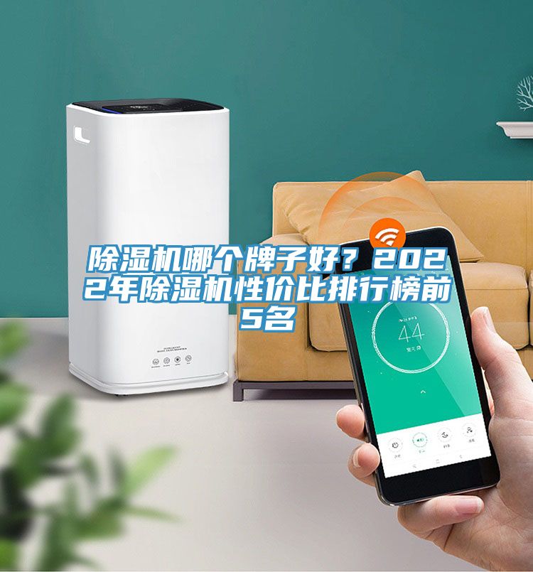 除濕機哪個牌子好？2022年除濕機性價比排行榜前5名