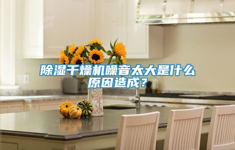 除濕干燥機噪音太大是什么原因造成？