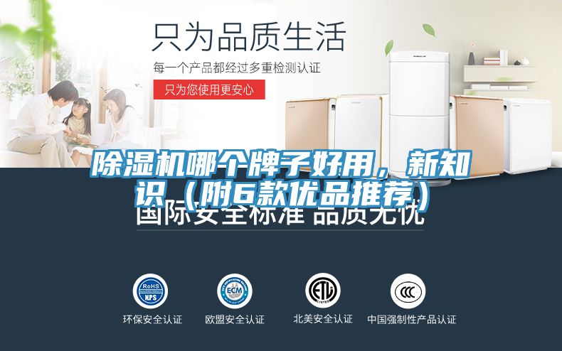除濕機哪個牌子好用，新知識（附6款優(yōu)品推薦）