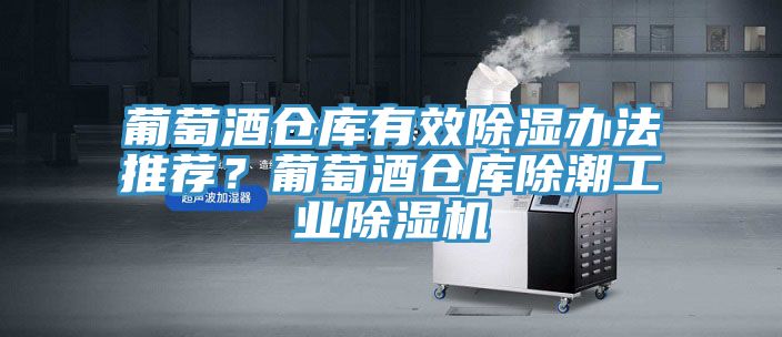 葡萄酒倉庫有效除濕辦法推薦?葡萄酒倉庫除潮工業除濕機