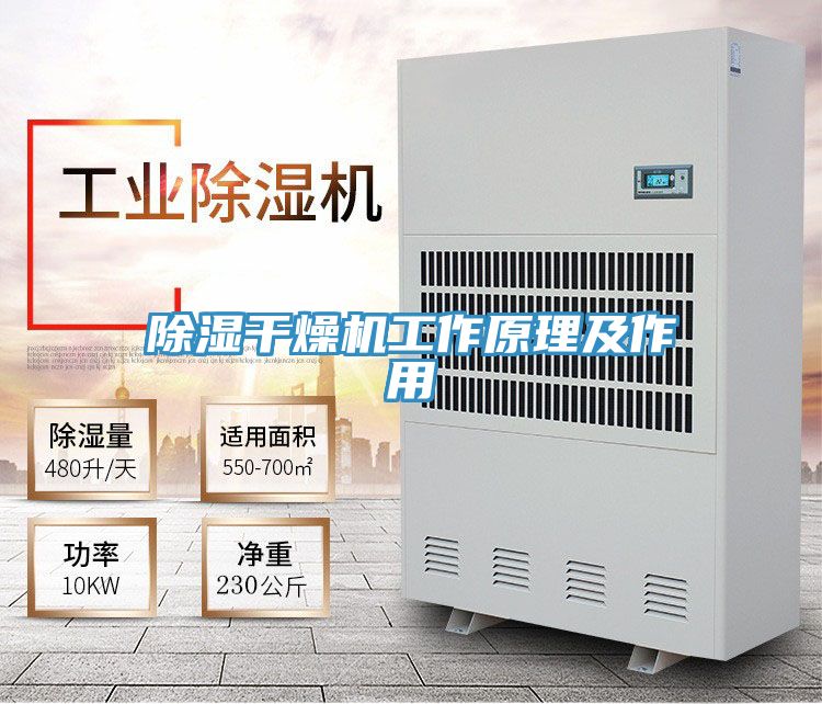 除濕干燥機工作原理及作用