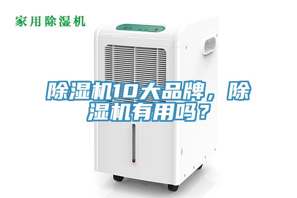 除濕機10大品牌,除濕機有用嗎?