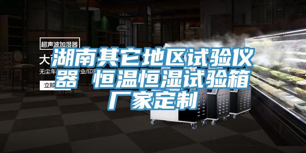 湖南其它地區試驗儀器 恒溫恒濕試驗箱廠家定制