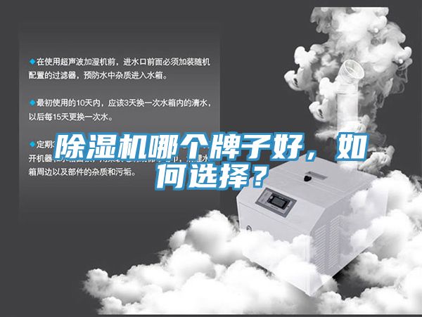 除濕機哪個牌子好，如何選擇？