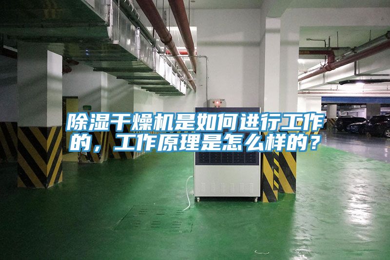 除濕干燥機是如何進行工作的,工作原理是怎么樣的?