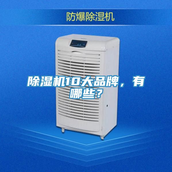 除濕機10大品牌，有哪些？