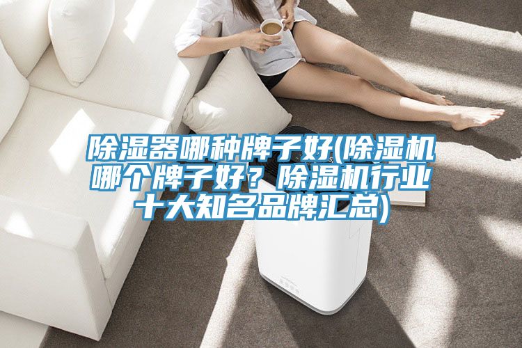 除濕器哪種牌子好(除濕機哪個牌子好?除濕機行業十大知名品牌匯總)