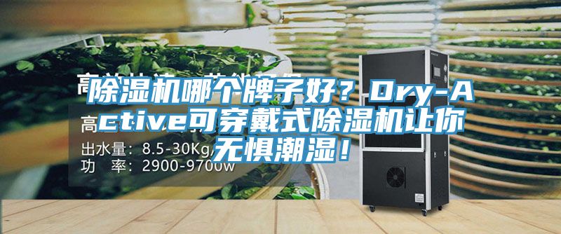 除濕機哪個牌子好？Dry-Active可穿戴式除濕機讓你無懼潮濕！