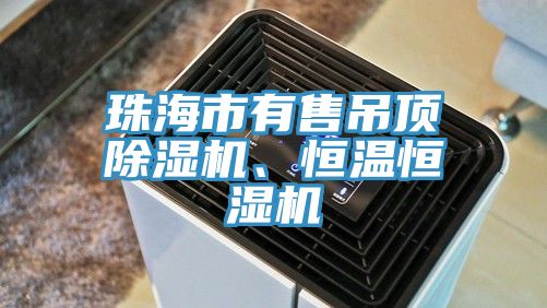 珠海市有售吊頂除濕機、恒溫恒濕機