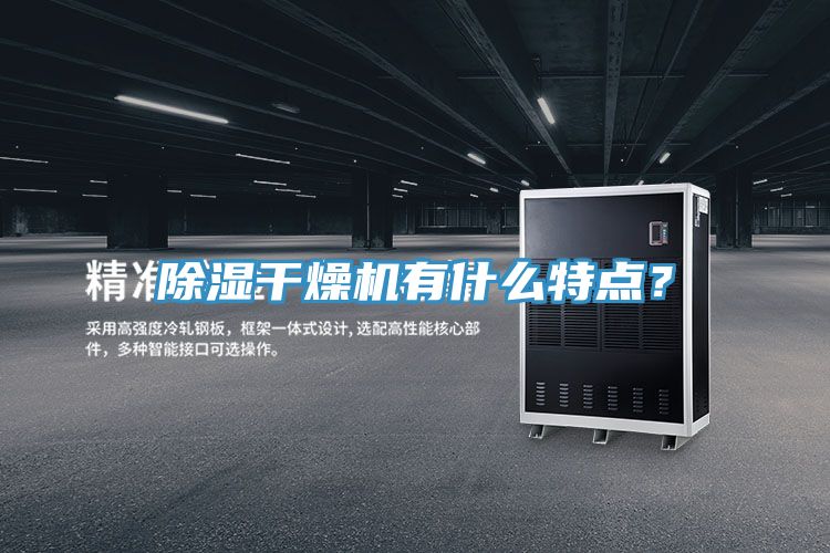 除濕干燥機有什么特點?