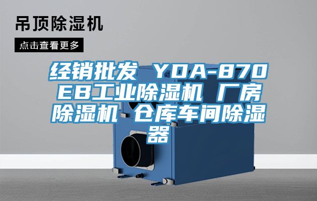 經(jīng)銷批發(fā) YDA-870EB工業(yè)除濕機(jī) 廠房除濕機(jī) 倉庫車間除濕器