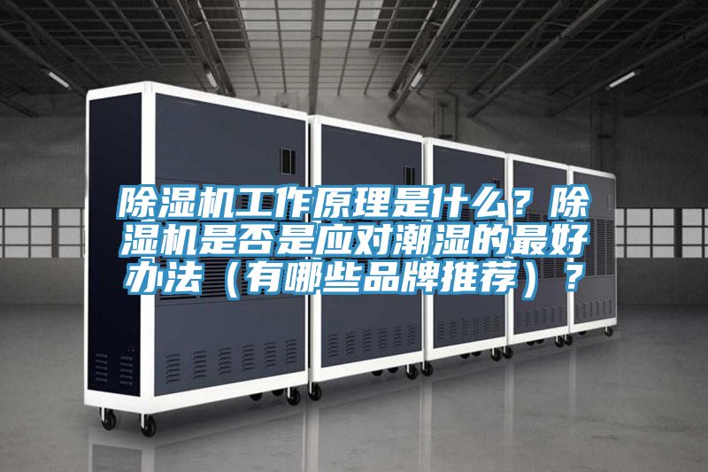 除濕機工作原理是什么?除濕機是否是應對潮濕的最好辦法(有哪些品牌推薦)?