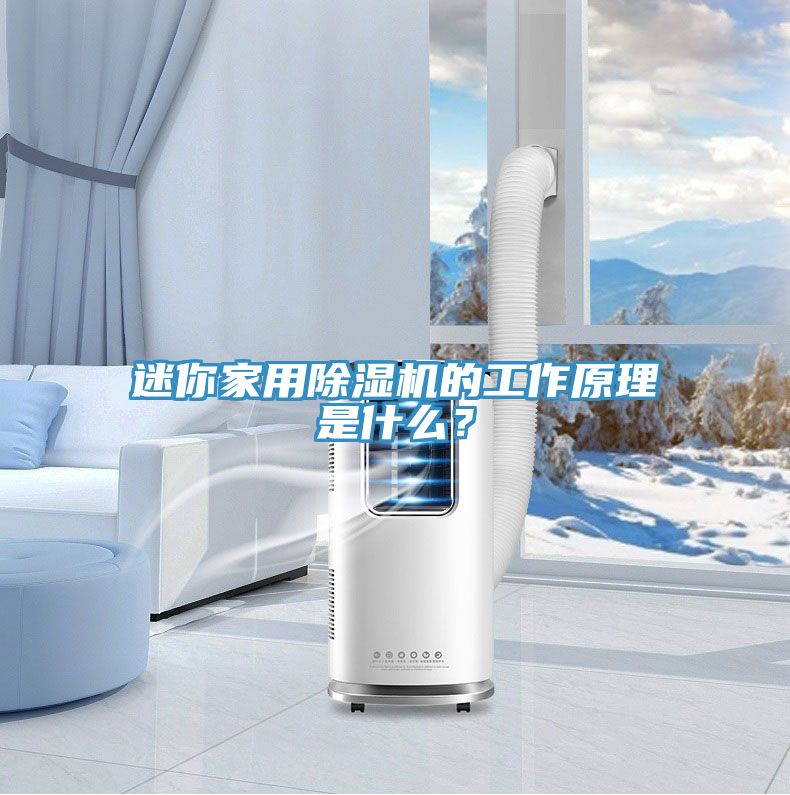 迷你家用除濕機的工作原理是什么?