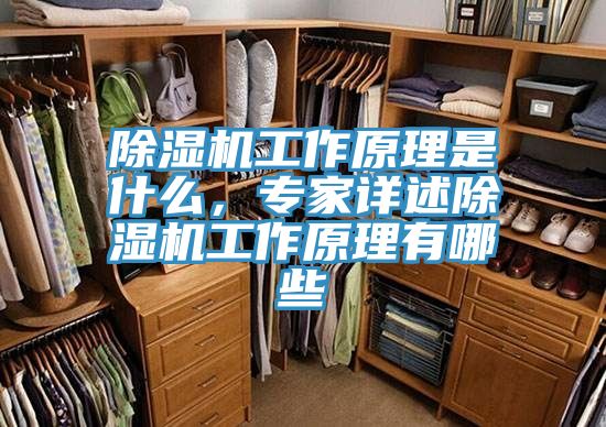 除濕機工作原理是什么,專家詳述除濕機工作原理有哪些
