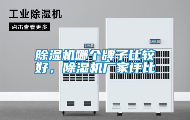 除濕機(jī)哪個牌子比較好,除濕機(jī)廠家評比