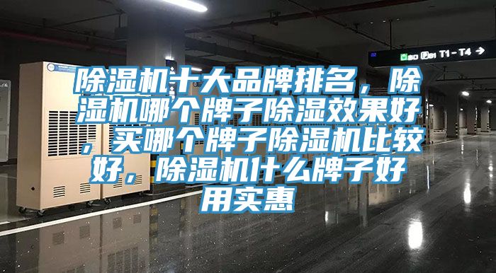 除濕機(jī)十大品牌排名，除濕機(jī)哪個(gè)牌子除濕效果好，買哪個(gè)牌子除濕機(jī)比較好，除濕機(jī)什么牌子好用實(shí)惠