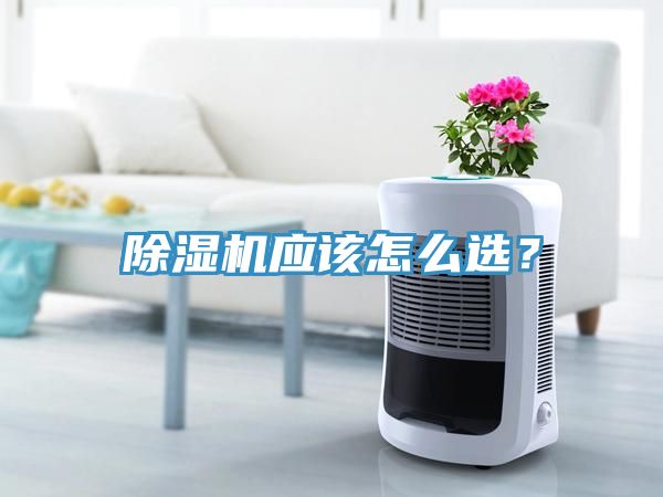 除濕機應該怎么選？
