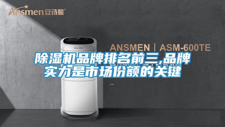 除濕機(jī)品牌排名前三,品牌實(shí)力是市場份額的關(guān)鍵