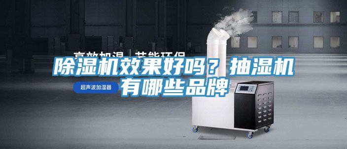 除濕機效果好嗎？抽濕機有哪些品牌