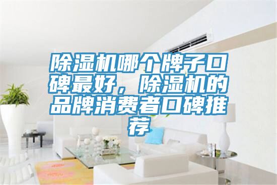 除濕機哪個牌子口碑最好,除濕機的品牌消費者口碑推薦