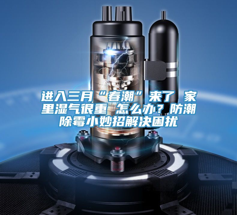 進入三月“春潮”來了 家里濕氣很重 怎么辦？防潮除霉小妙招解決困擾