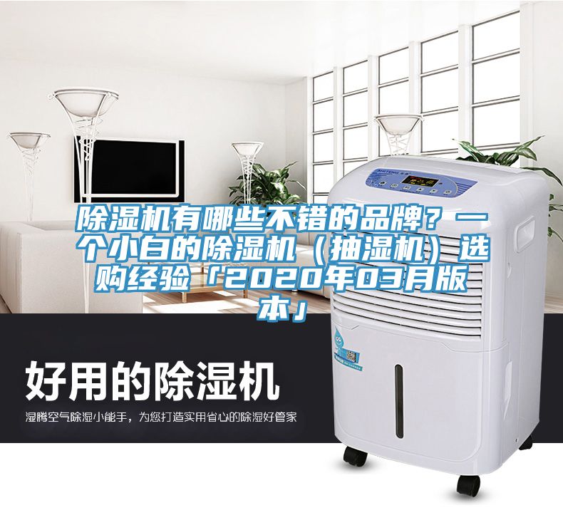 除濕機有哪些不錯的品牌？一個小白的除濕機（抽濕機）選購經驗「2020年03月版本」