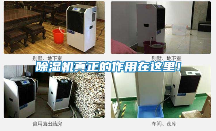 除濕機真正的作用在這里!