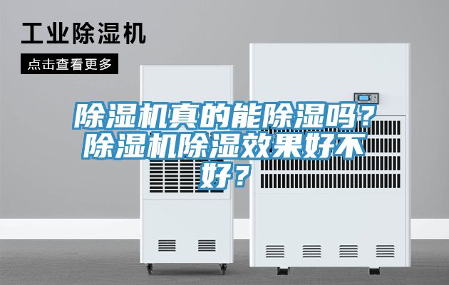 除濕機真的能除濕嗎？除濕機除濕效果好不好？