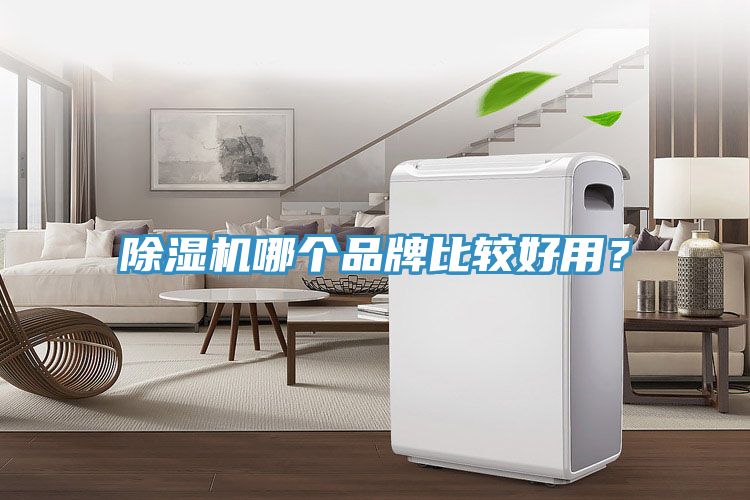 除濕機哪個品牌比較好用?